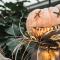 Célébrez l’Halloween en famille au Jardin botanique