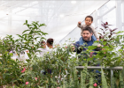 At the Great Vivarium, a family is searching for butterflies in the vegetation.
