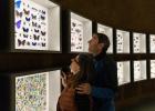 Un couple regarde des vitrines d&#039;insectes au Dôme de l&#039;Insectarium.