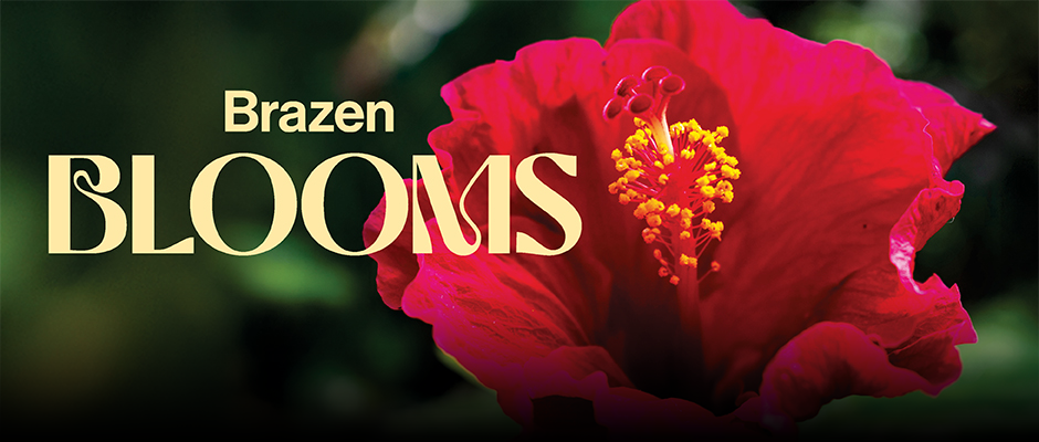 Brazen blooms - Carrousel