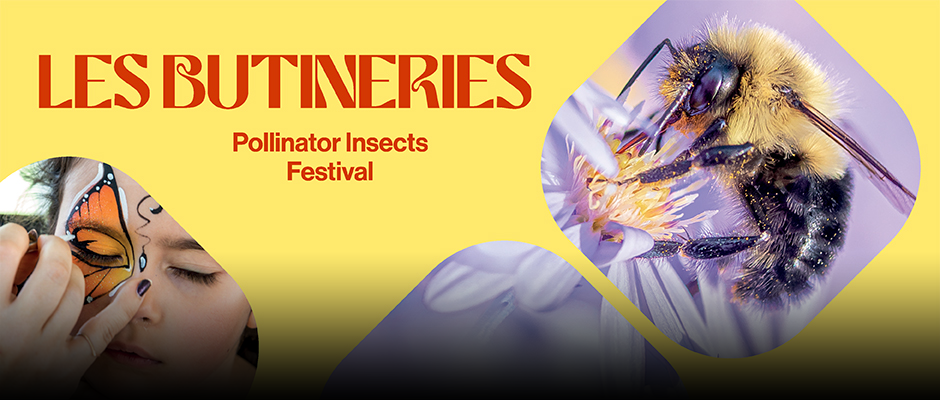 Les Butineries - Pollinator Insects Festival - Carrousel