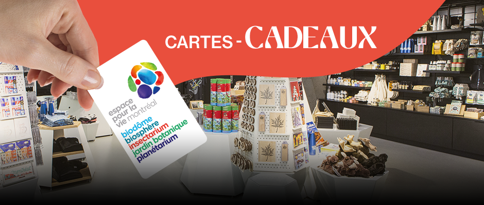 Cartes-cadeaux - Carrousel