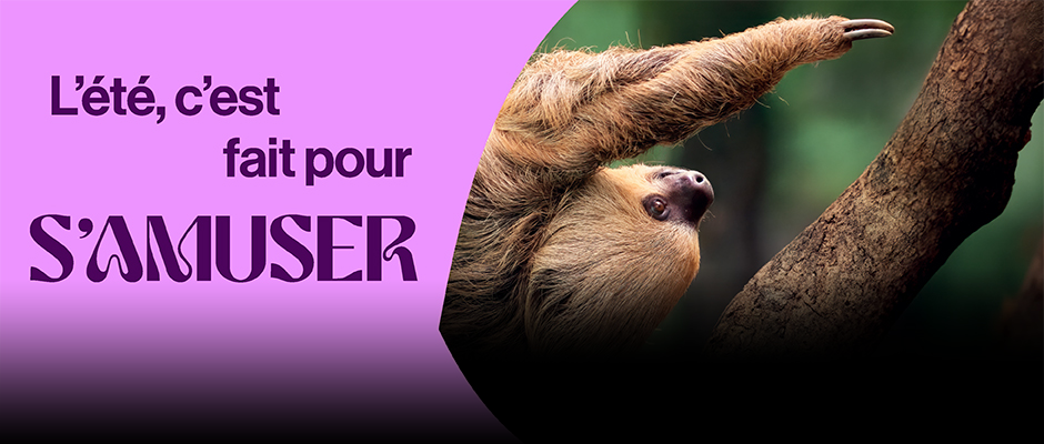 L'été, c'est fait pour s'amuser