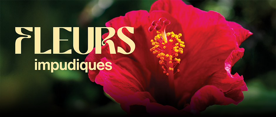 Fleurs impudiques - Carrousel