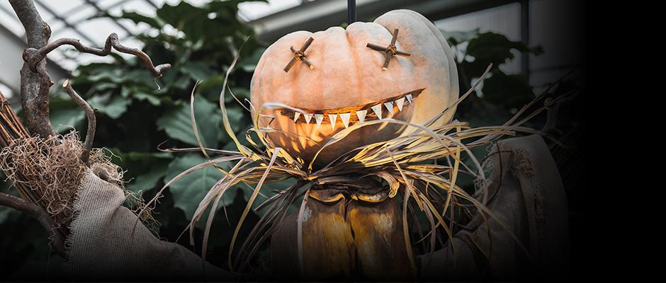 Celebrate Halloween with the family at the Jardin botanique