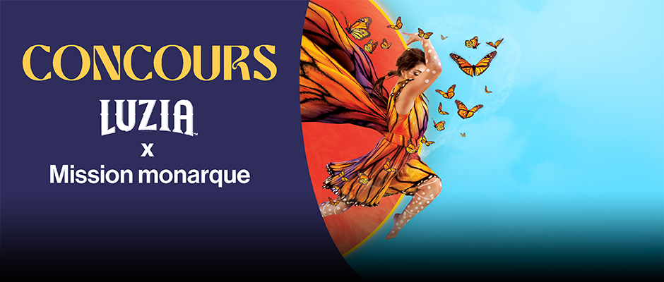 Concours Luzia - Carrousel