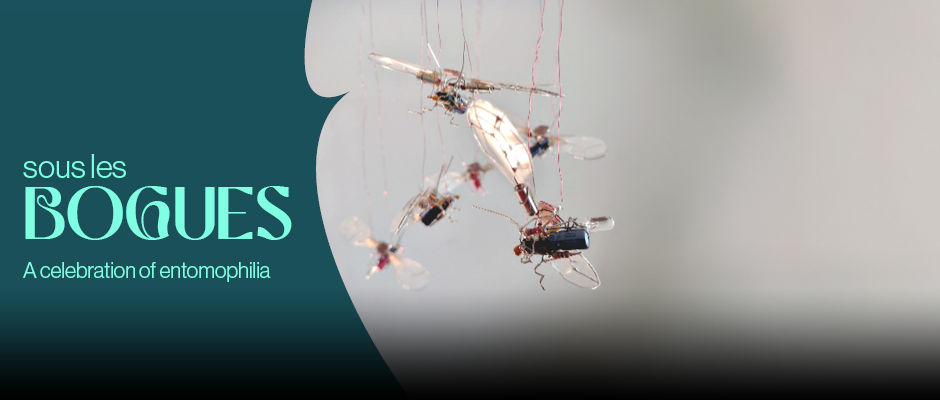 sous les bogues – An electronic and sound installation by Léa Boudreau