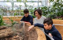 A family is observing a millipede in the Great Vivarium of the Insectarium.