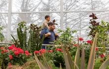 A family visit to the Great Vivarium
