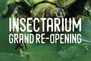 Grand re-opening Insectarium - Ticketing