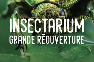 Grande réouverture Insectarium - Billetterie