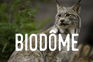 Biodôme - Billetterie