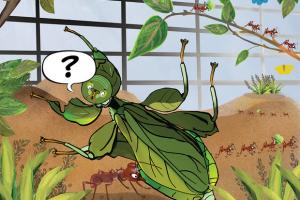 Les insectes nous inspirent… des BD débridées!