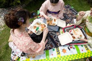 Pique-nique o-hanami sous les pommetiers en fleurs