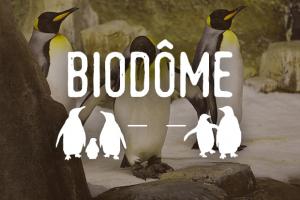 Biodôme - Mesures spéciales - Billetterie