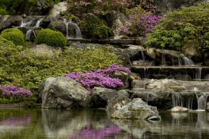 La cascade du Jardin japonais.