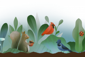 5 tips to keep squirrels out of your garden