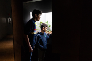 Two boys are observing the insects in one of the vivariums of the Tête-à-Tête room.