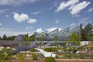 The new Insectarium: in symbiosis with nature
