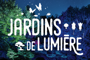 Jardins de lumière 2023 - thumbnail billeterie