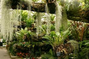 Tropical Rainforest Greenhouse Tropical Rainforest Greenhouse
