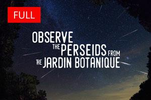 Observe the Perseids from the Jardin botanique