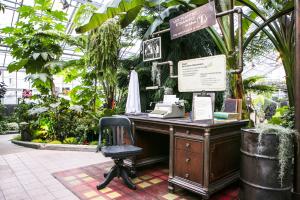 The Odd Plants of Mrs Z