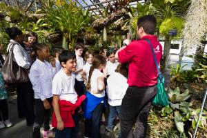 Guided tour of the Greenhouses.