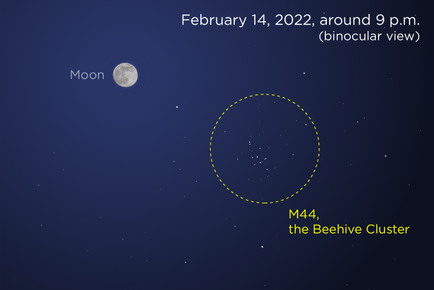 20220214 Moon and M44 (annotated)
