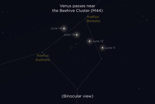 20230612-13 Venus-M44 EN