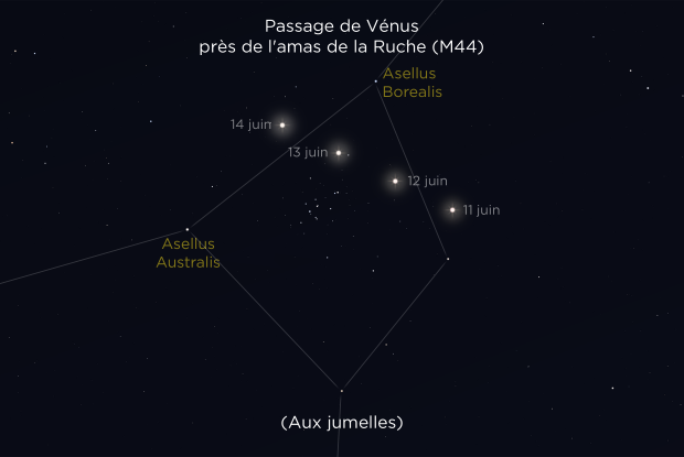 20230612-13 Vénus-M44 FR