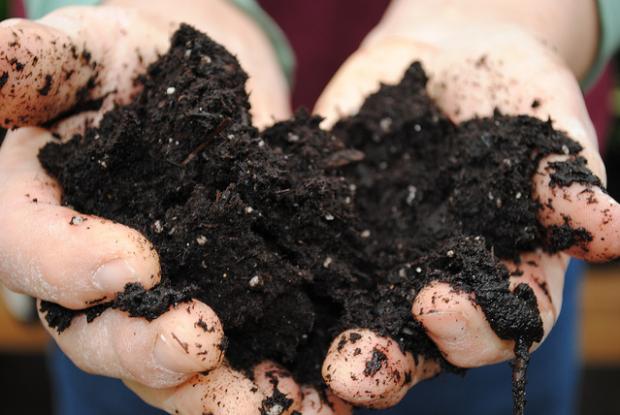 Touch test for soil