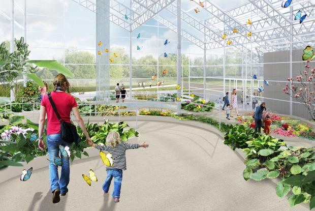 Insectarium’s Metamorphosis