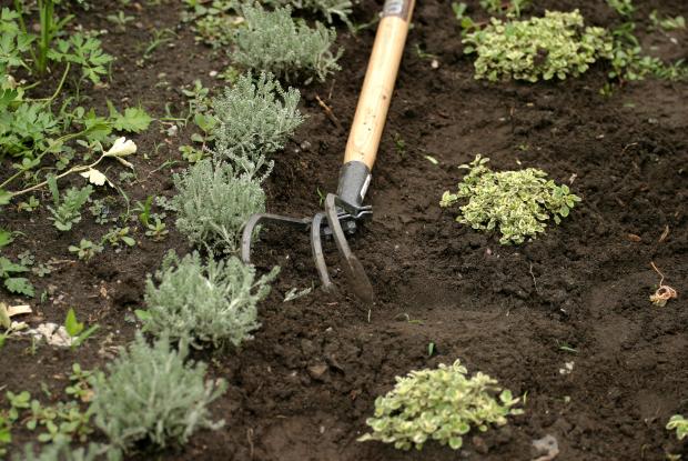 Applying fertilizer