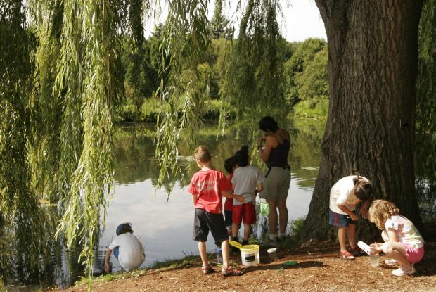 Camp de jour en écologie