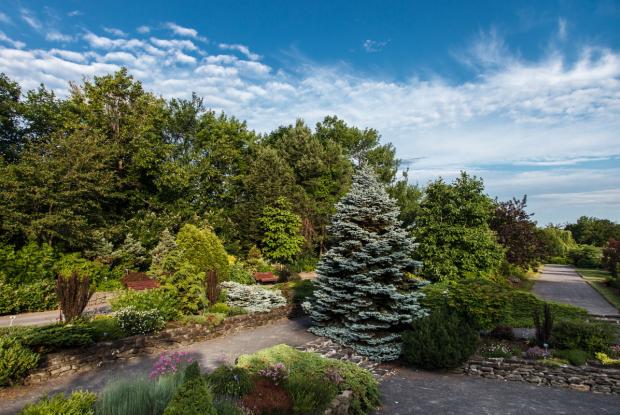General view of the Shrub Garden - Fruticetum