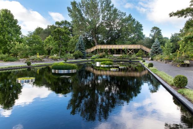 Vue générale du Jardin des arbustes - Fruticetum - Étang au miroir  
