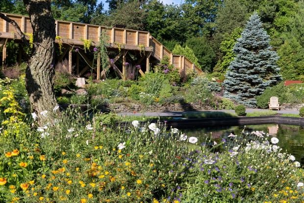 Vue générale du Jardin des arbustes - Fruticetum - Étang au miroir