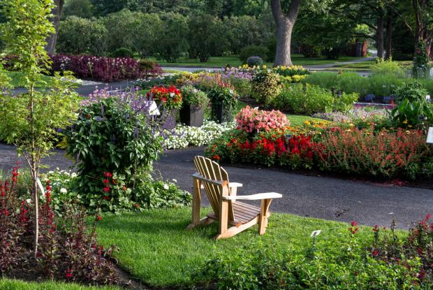 Jardin des nouveautés - Vue générale 