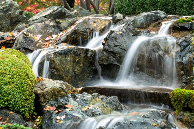 La cascade au Jardin japonais