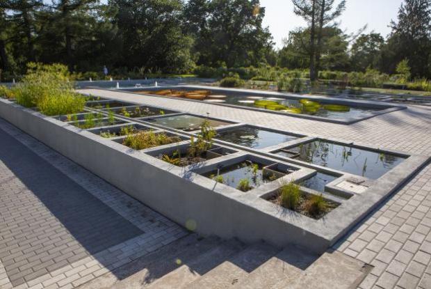 Le Parcours des phytotechnologies - Les marais épurateurs