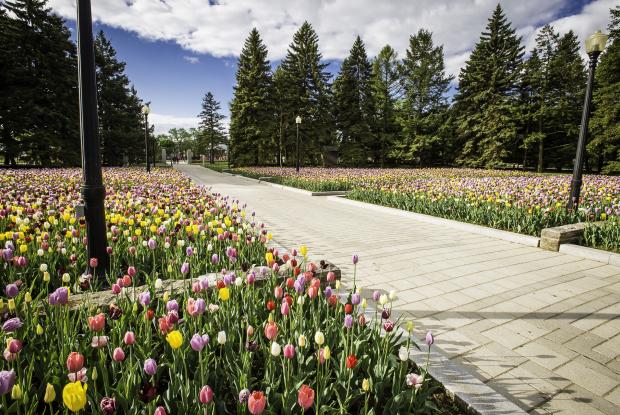 Reception Gardens 2015