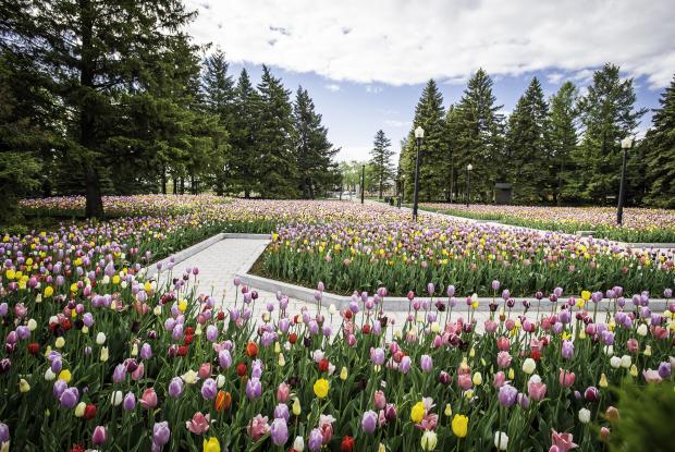 Reception Gardens 2015