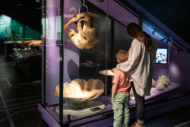 Une jeune fille et un enfant à l'exposition Une nature tissée serrée.