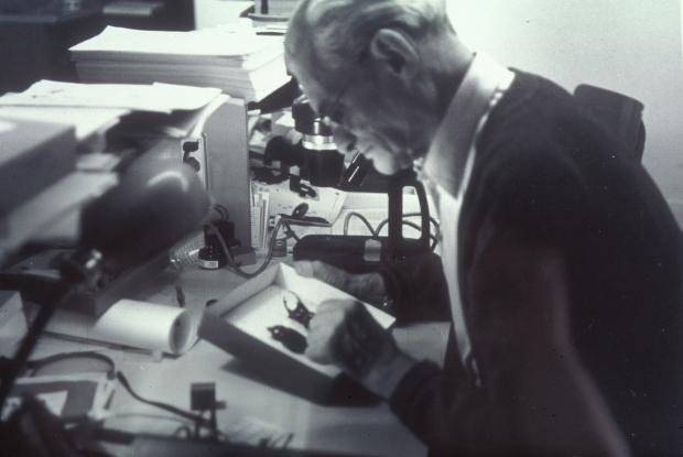 Firmin Laliberté observes an insect specimen.