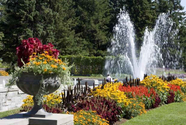 View of the fountain in the Reception Gardens.