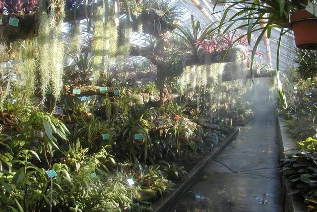 Tropical Rainforest Greenhouse