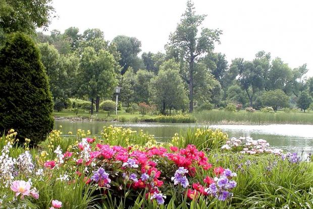 Flowery Brook and Ponds