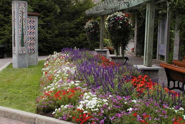Jardin de la paix en été