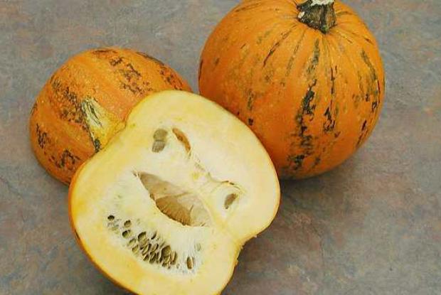 Cucurbita pepo 'Kakai'